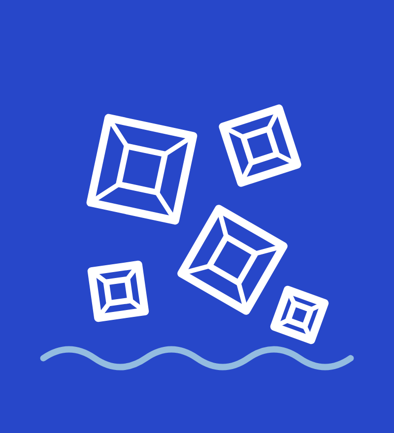 Fleur de sel, druskos gėlė