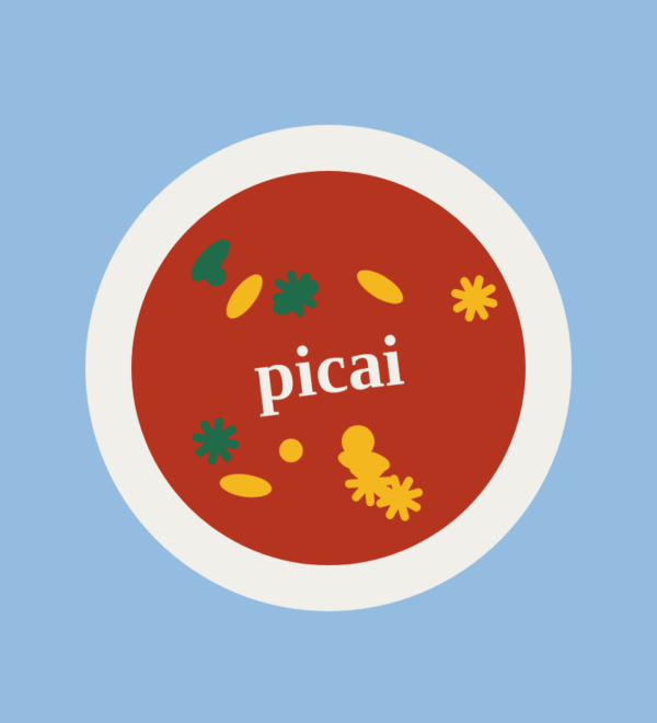 Mišinys picai