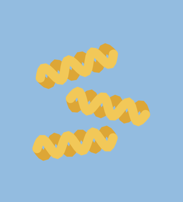 Fusilli de Bassan
