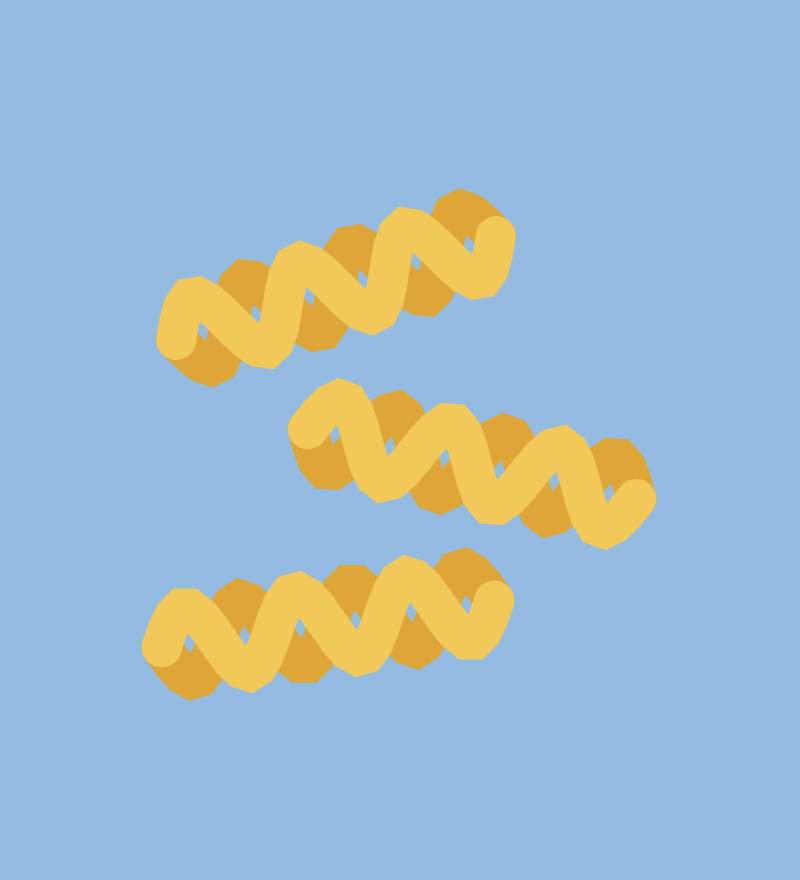 Fusilli de Bassan
